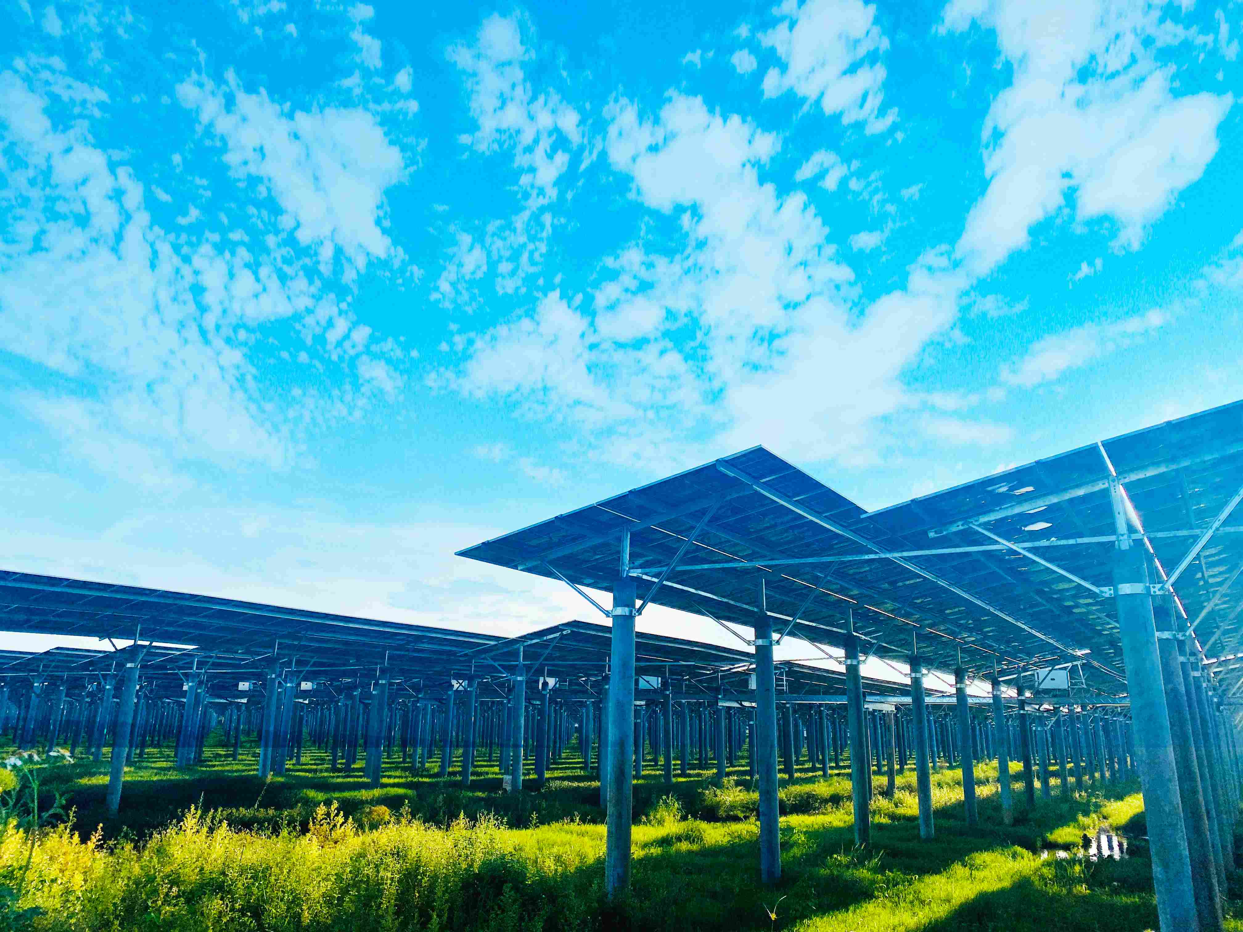 首页- Bwin必赢集团有限公司官方网站