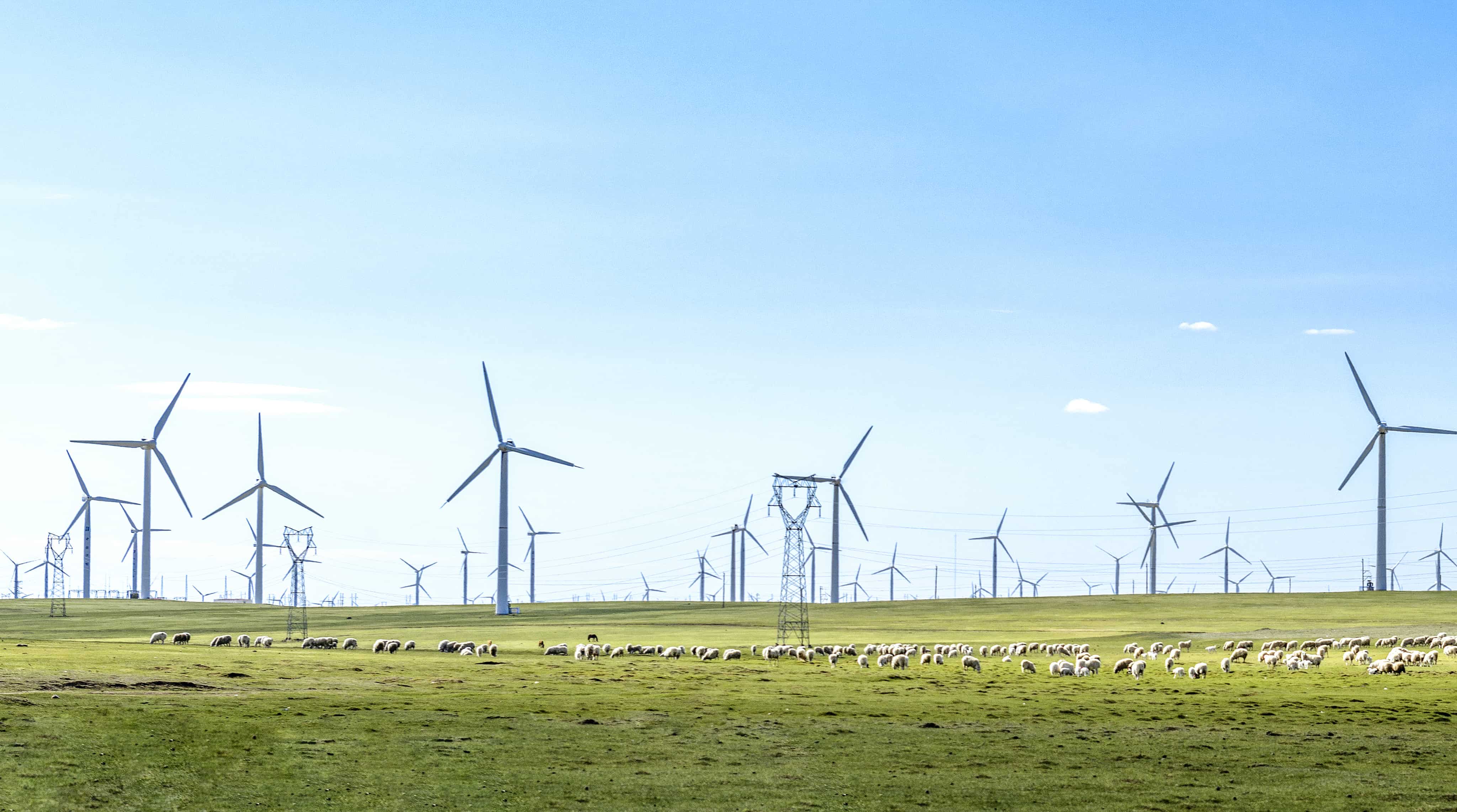 首页- Bwin必赢集团有限公司官方网站