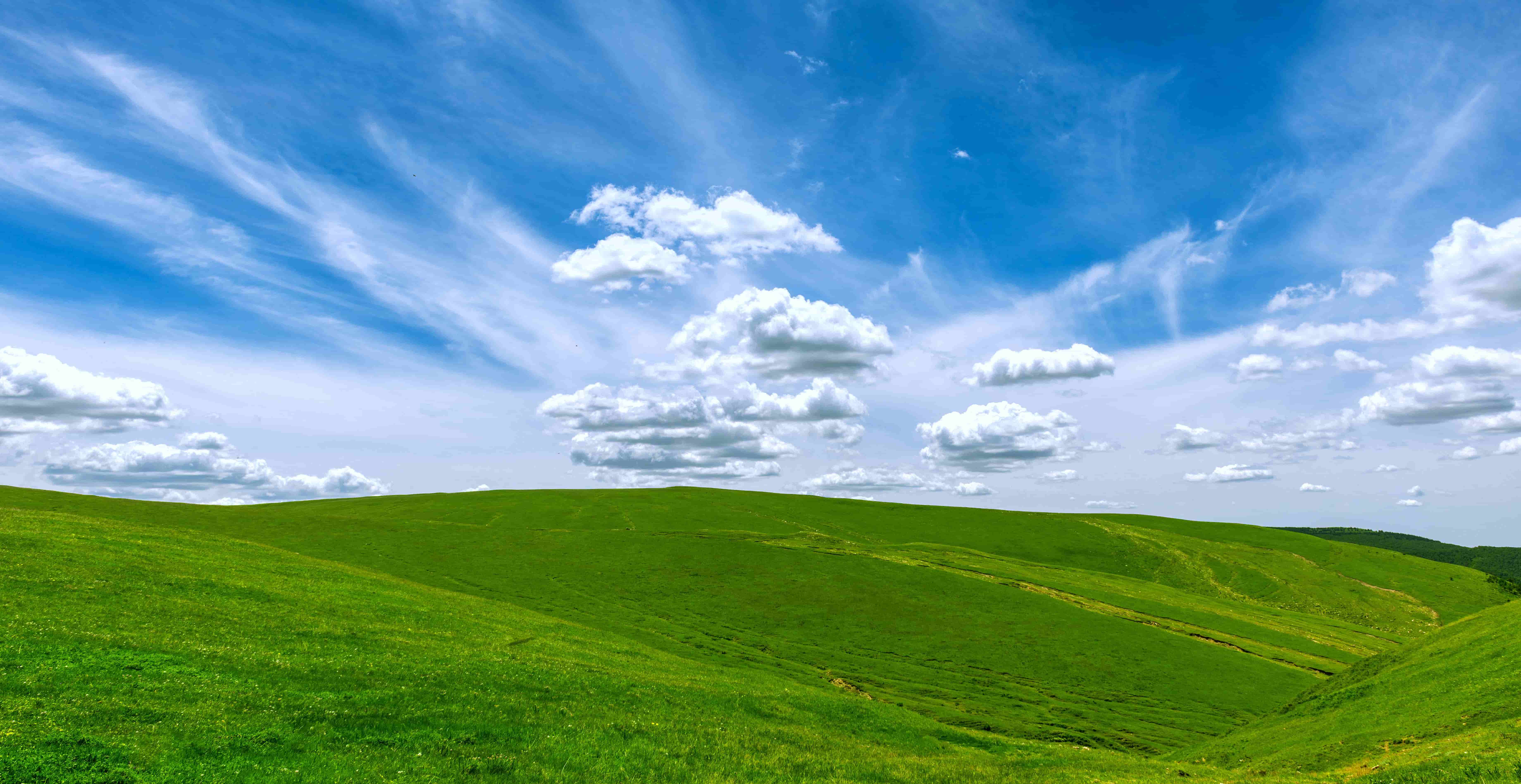 首页- Bwin必赢集团有限公司官方网站